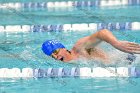 Swimming & Diving vs Babson  Swimming & Diving vs Babson College. - Photo by Keith Nordstrom : Wheaton, Swimming